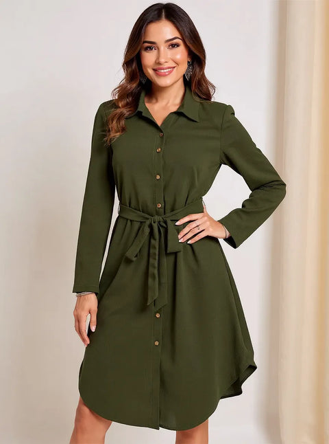 Button-Down Belted Shirt Dress  Daisy Bellezza